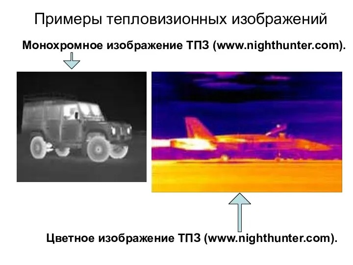 Примеры тепловизионных изображений Монохромное изображение ТПЗ (www.nighthunter.com). Цветное изображение ТПЗ (www.nighthunter.com).