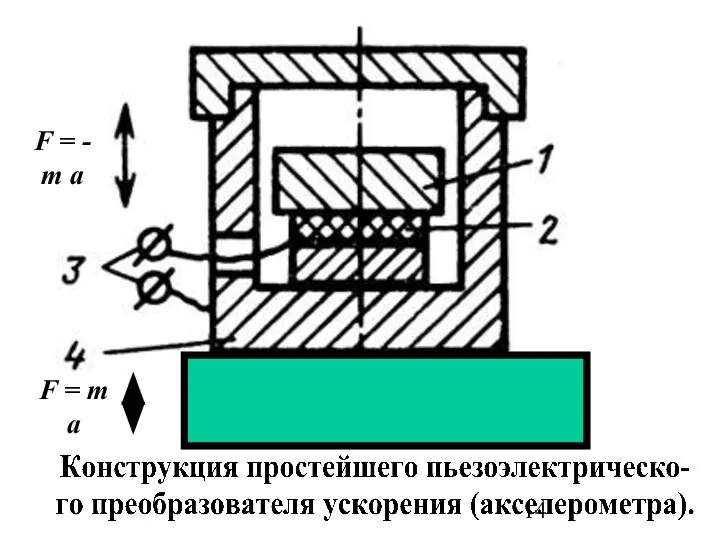 F = - m a F = m a