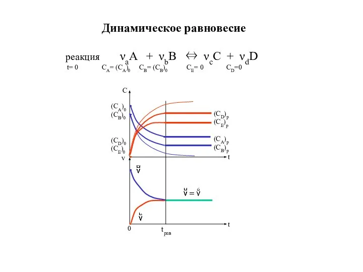 Динамическое равновесие реакция νаA + νbB ⇔ νсC + νdD t=