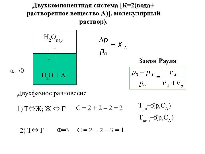 Двухкомпонентная система [К=2(вода+ растворенное вeщество А)], молекулярный раствор). α→0 Двухфазное равновесие