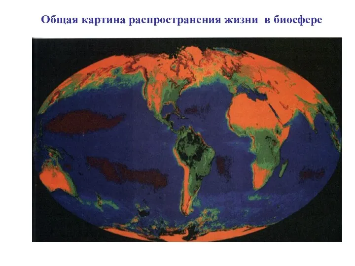 Общая картина распространения жизни в биосфере