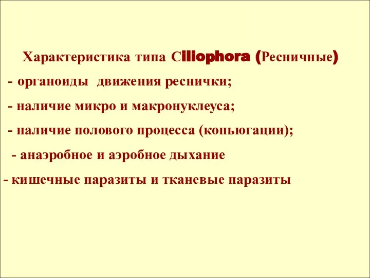 Характеристика типа Сiliophora (Ресничные) - органоиды движения реснички; - наличие микро