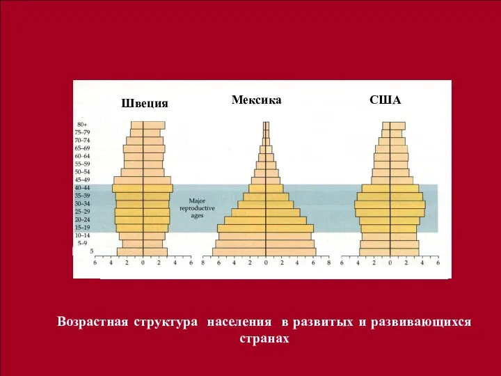 нннннннннннннннннн Возрастная структура населения в развитых и развивающихся странах Швеция Мексика США