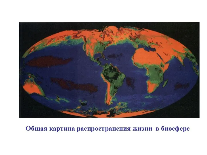 Общая картина распространения жизни в биосфере