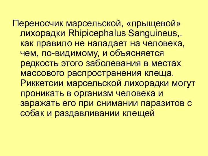 Переносчик марсельской, «прыщевой» лихорадки Rhipicephalus Sanguineus,. как правило не нападает на