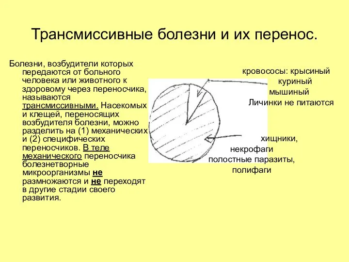 Трансмиссивные болезни и их перенос. Болезни, возбудители которых передаются от больного