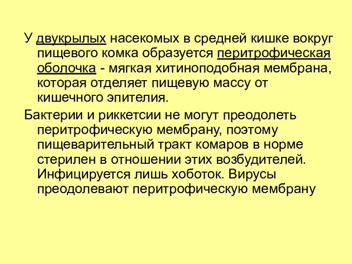 У двукрылых насекомых в средней кишке вокруг пищевого комка образуется перитрофическая