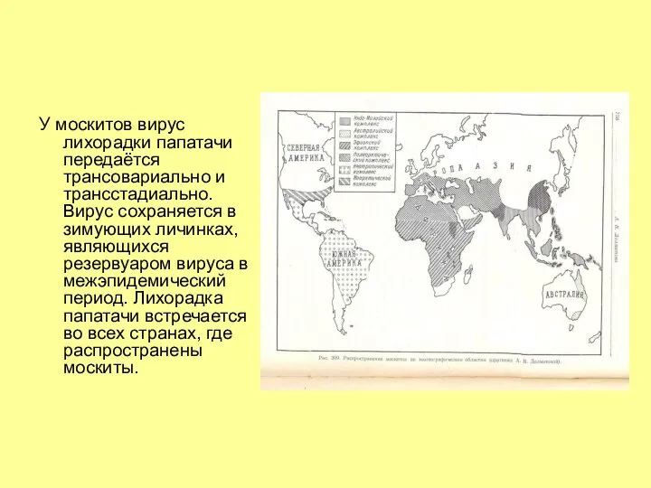 У москитов вирус лихорадки папатачи передаётся трансовариально и трансстадиально. Вирус сохраняется