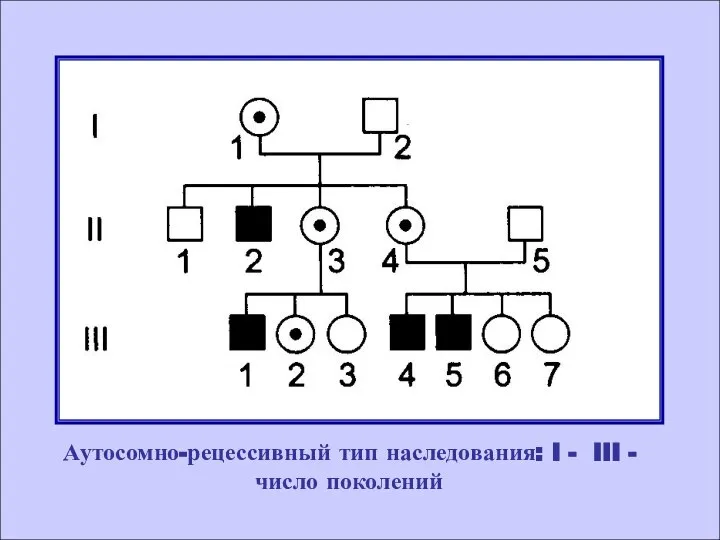 Аутосомно-рецессивный тип наследования: I - III - число поколений