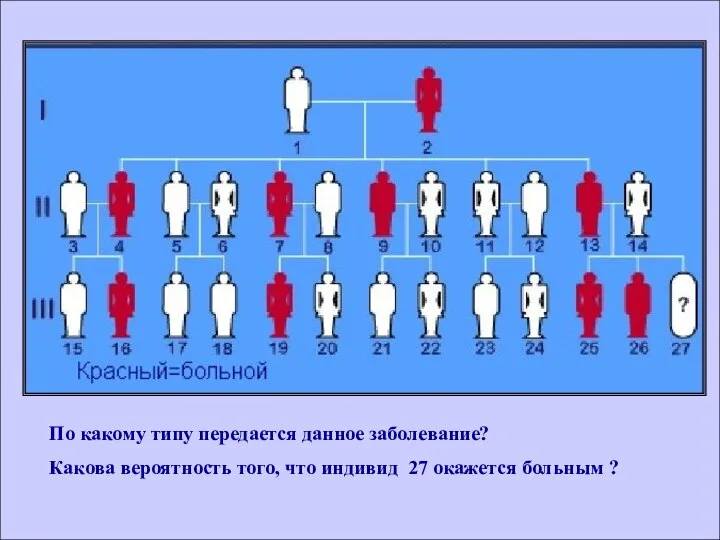 По какому типу передается данное заболевание? Какова вероятность того, что индивид 27 окажется больным ?