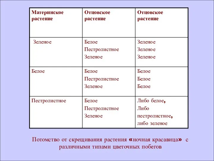 Потомство от скрещивания растения «ночная красавица» с различными типами цветочных побегов