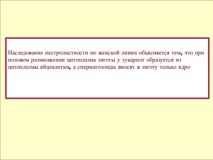 Наследование пестролистности по женской линии объясняется тем, что при половом размножении