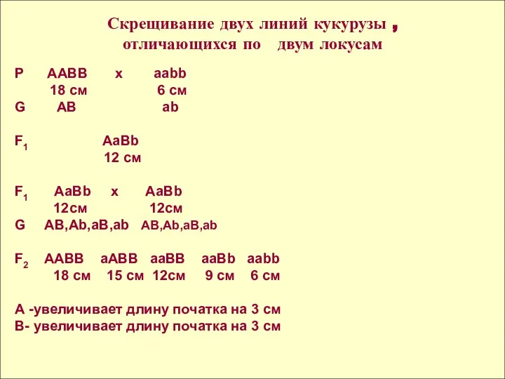 Р ААВВ х ааbb 18 см 6 см G АВ аb