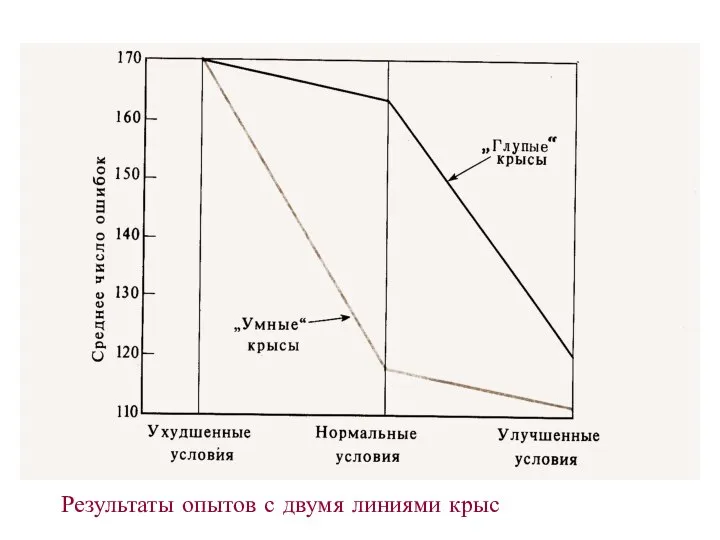 Результаты опытов с двумя линиями крыс