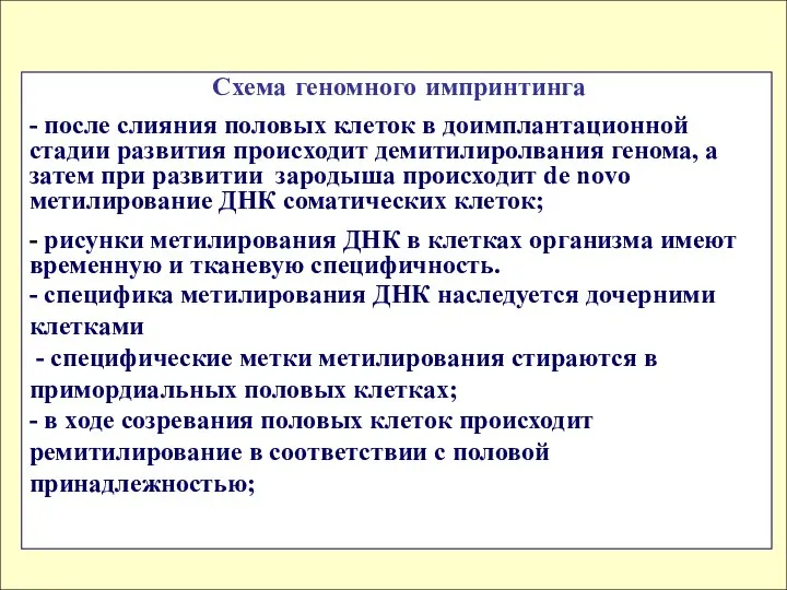 Схема геномного импринтинга - после слияния половых клеток в доимплантационной стадии