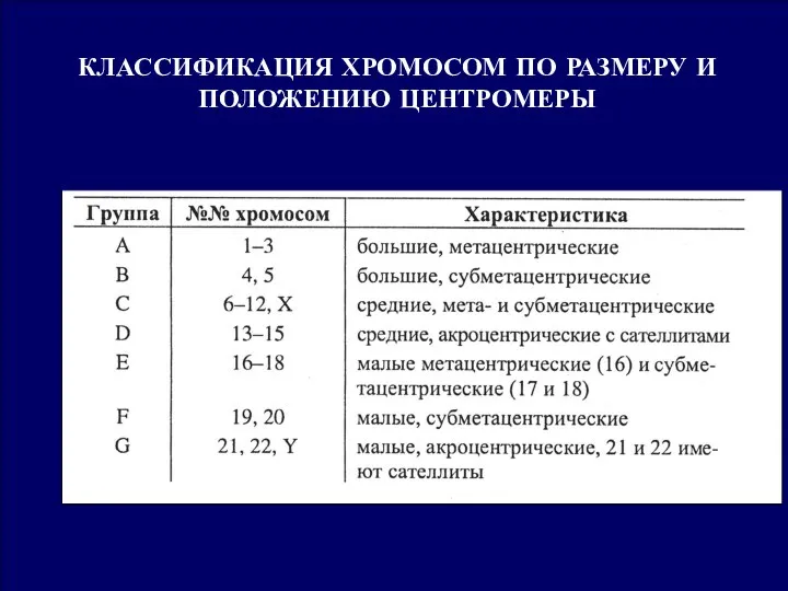 КЛАССИФИКАЦИЯ ХРОМОСОМ ПО РАЗМЕРУ И ПОЛОЖЕНИЮ ЦЕНТРОМЕРЫ