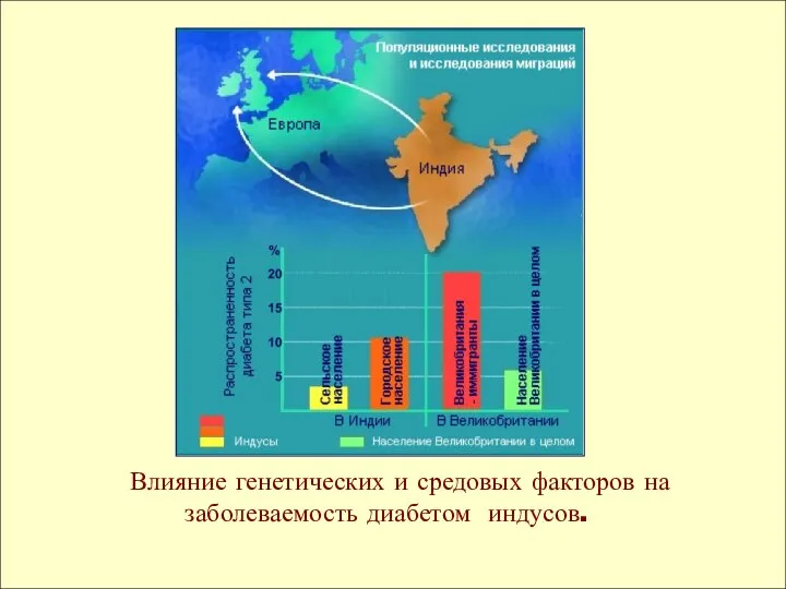 Влияние генетических и средовых факторов на заболеваемость диабетом индусов.