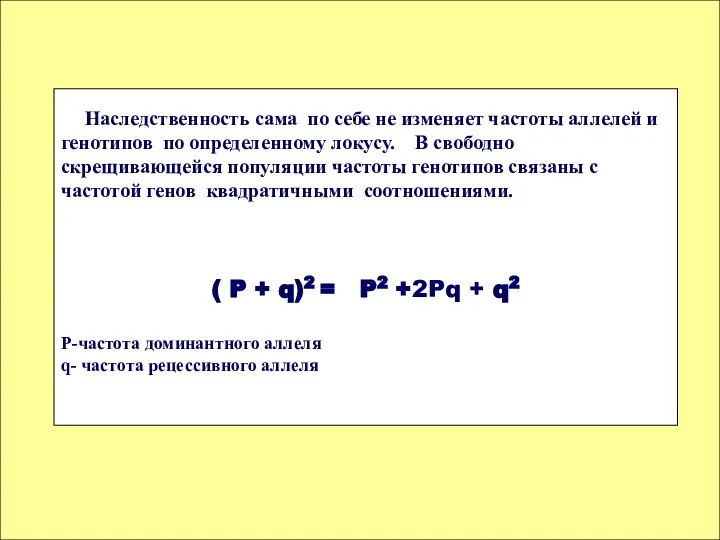 Наследственность сама по себе не изменяет частоты аллелей и генотипов по