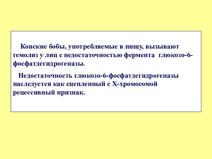 Конские бобы, употребляемые в пищу, вызывают гемолиз у лиц с недостаточностью