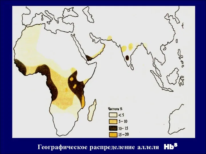 Географическое распределение аллеля HbS