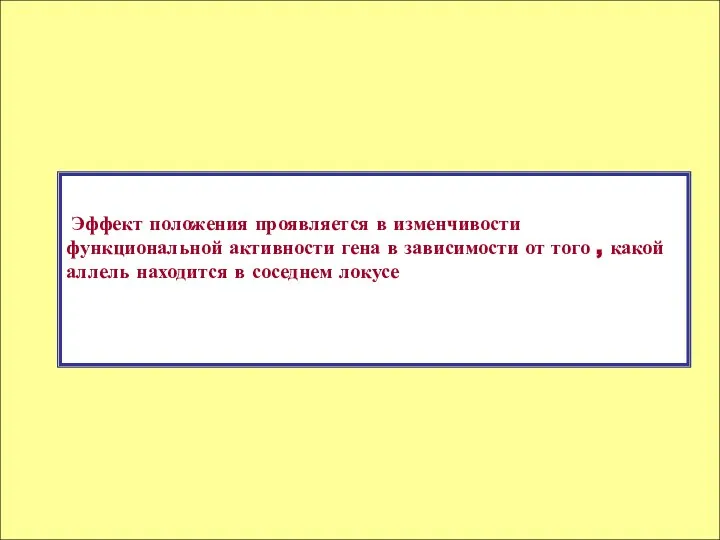 Эффект положения проявляется в изменчивости функциональной активности гена в зависимости от