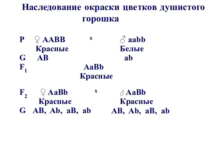 Наследование окраски цветков душистого горошка