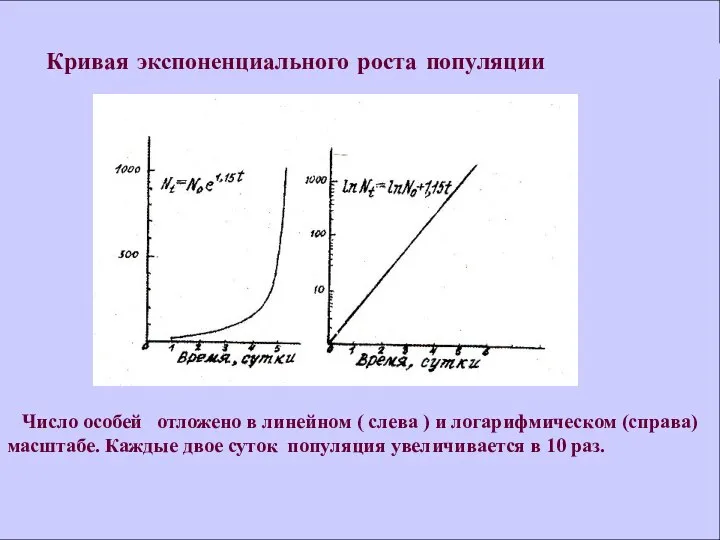 Число особей отложено в линейном ( слева ) и логарифмическом (справа)масштабе.