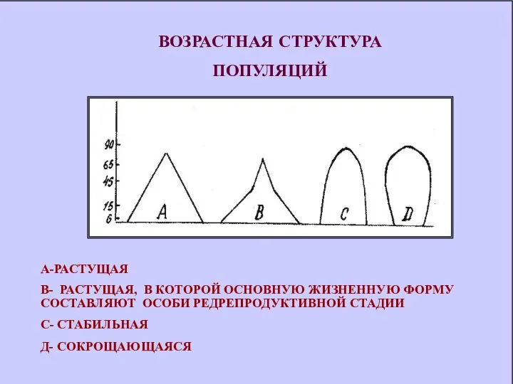 А-РАСТУЩАЯ В- РАСТУЩАЯ, В КОТОРОЙ ОСНОВНУЮ ЖИЗНЕННУЮ ФОРМУ СОСТАВЛЯЮТ ОСОБИ РЕДРЕПРОДУКТИВНОЙ