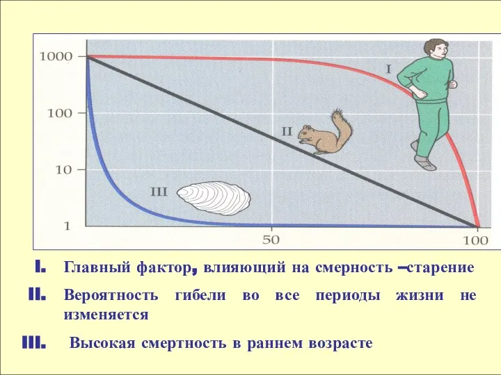 Главный фактор, влияющий на смерность –старение Вероятность гибели во все периоды