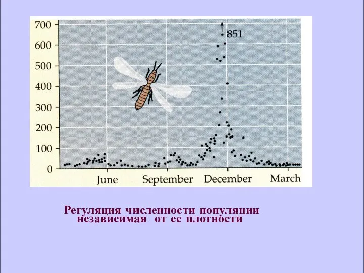 Регуляция численности популяции независимая от ее плотности