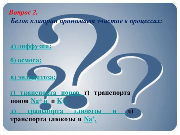 Вопрос 2. Белок клатрин принимает участие в процессах: а) диффузии; б)