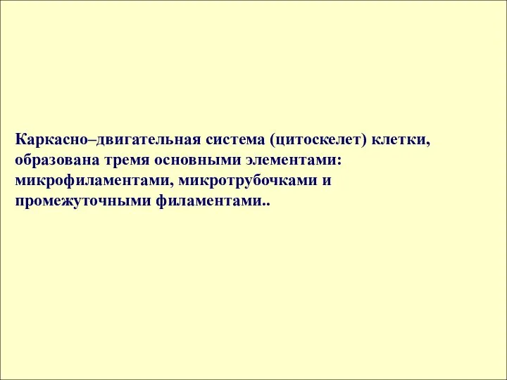 Каркасно–двигательная система (цитоскелет) клетки, образована тремя основными элементами: микрофиламентами, микротрубочками и промежуточными филаментами..