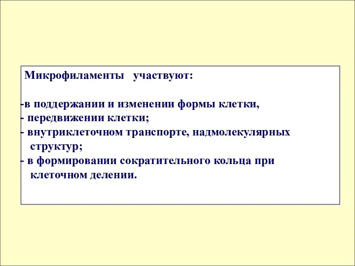 Микрофиламенты участвуют: в поддержании и изменении формы клетки, передвижении клетки; внутриклеточном