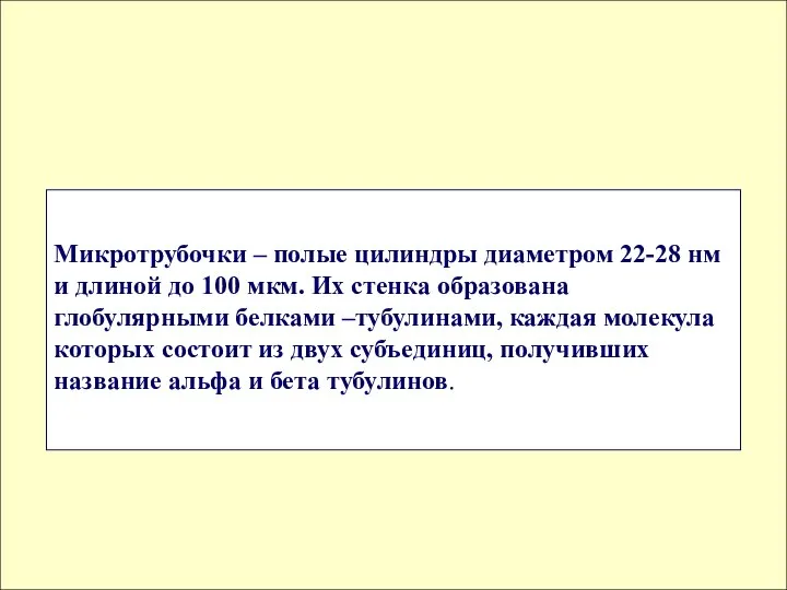 Микротрубочки – полые цилиндры диаметром 22-28 нм и длиной до 100