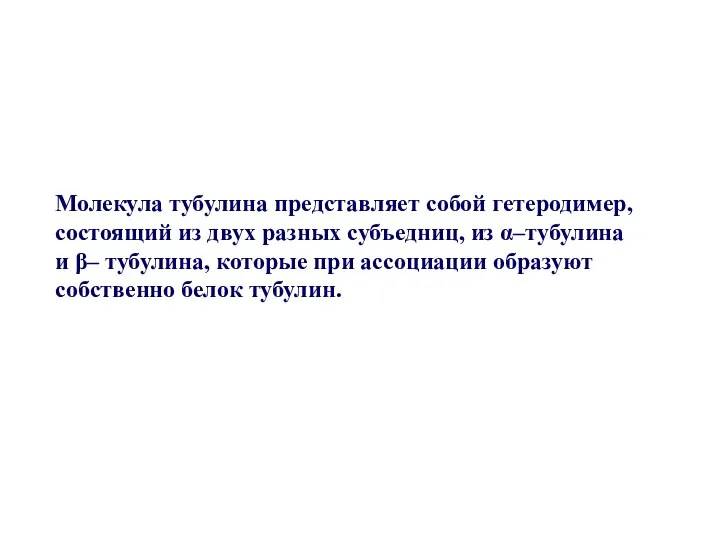 Молекула тубулина представляет собой гетеродимер, состоящий из двух разных субъедниц, из