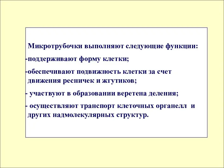 Микротрубочки выполняют следующие функции: поддерживают форму клетки; обеспечивают подвижность клетки за