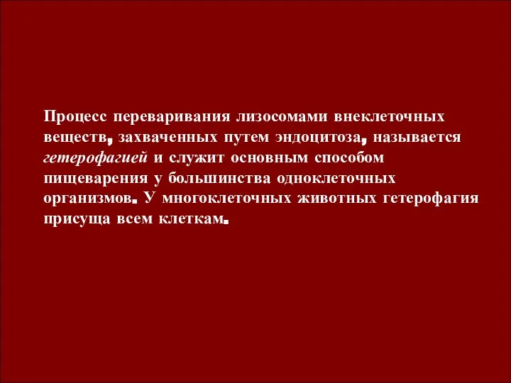 Процесс переваривания лизосомами внеклеточных веществ, захваченных путем эндоцитоза, называется гетерофагией и