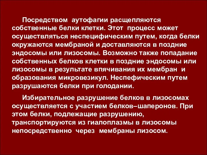 Посредством аутофагии расщепляются собственные белки клетки. Этот процесс может осуществляться неспецифическим