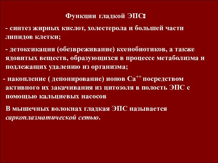 Функции гладкой ЭПС: - синтез жирных кислот, холестерола и большей части