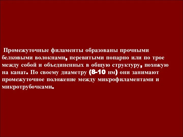 Промежуточные филаменты образованы прочными белковыми волокнами, перевитыми попарно или по трое