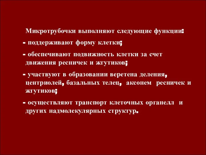 Микротрубочки выполняют следующие функции: поддерживают форму клетки; обеспечивают подвижность клетки за