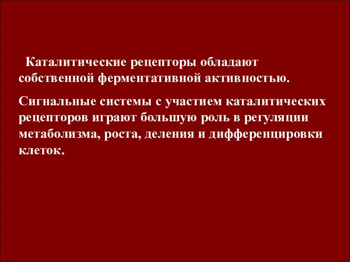 Каталитические рецепторы обладают собственной ферментативной активностью. Сигнальные системы с участием каталитических