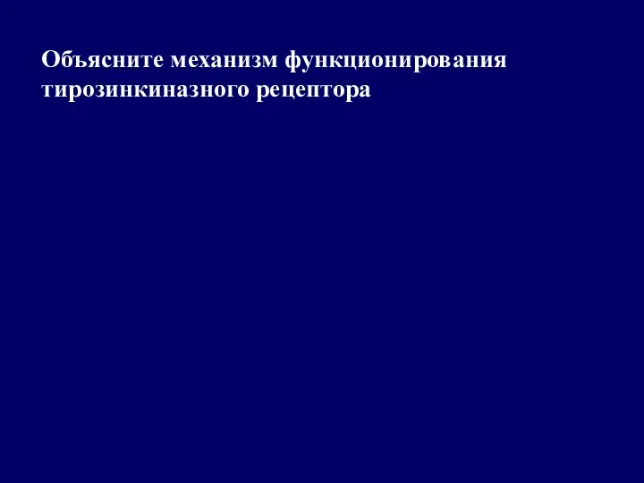 Объясните механизм функционирования тирозинкиназного рецептора