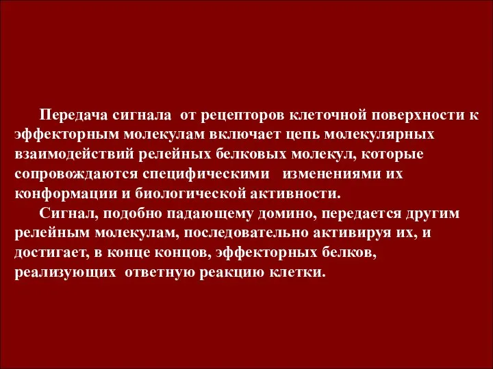 Передача сигнала от рецепторов клеточной поверхности к эффекторным молекулам включает цепь