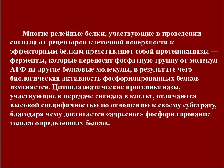 Многие релейные белки, участвующие в проведении сигнала от рецепторов клеточной поверхности