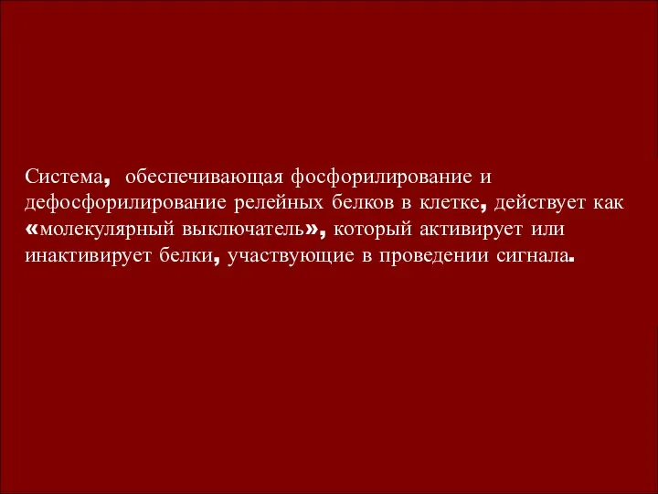 Система, обеспечивающая фосфорилирование и дефосфорилирование релейных белков в клетке, действует как