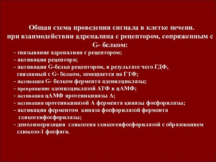 Общая схема проведения сигнала в клетке печени. при взаимодействии адреналина с