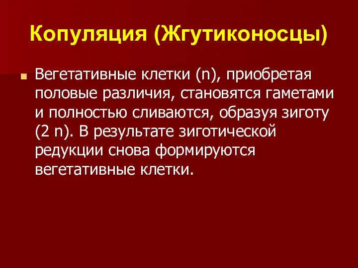 Копуляция (Жгутиконосцы) Вегетативные клетки (n), приобретая половые различия, становятся гаметами и