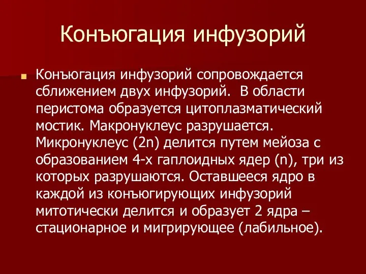 Конъюгация инфузорий Конъюгация инфузорий сопровождается сближением двух инфузорий. В области перистома