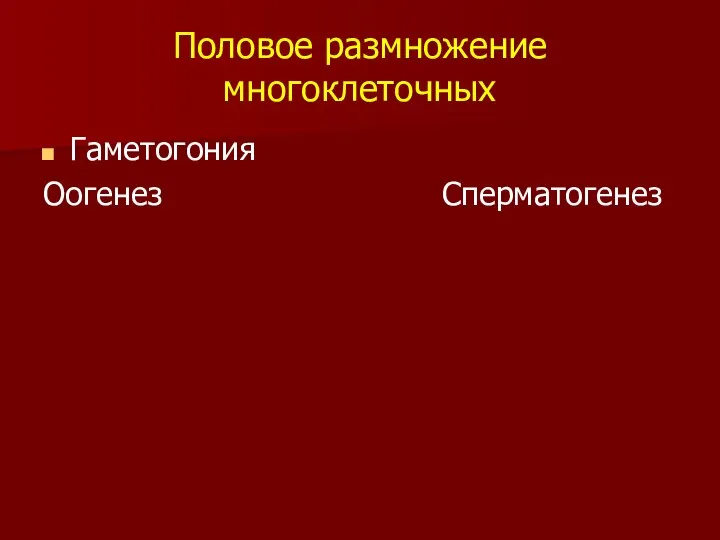 Половое размножение многоклеточных Гаметогония Оогенез Сперматогенез